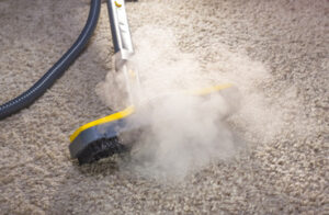 carpet cleaning